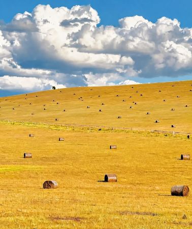 7D6N • Muslim-friendly: Beijing & Inner Mongolia grasslands, deserts, Great Mosque, and imperial heritage