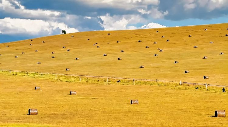 6-Day Consult for customizable itineraries + Beijing + Inner Mongoliagrasslands, deserts, volcanoes, and historical sites.
