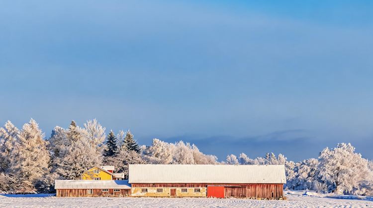4-Day 8-person Small Group · Mohe. Receive Themed Costume Photo-shoot & Water-Splash-to-Ice Activity Upon Inquiry. Visit Arctic Village & Feed Reindeers.