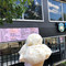 Scoopz Ice Cream Parlour