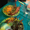Pishi Restaurant