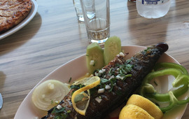 Fata Morgana Tavern & Cafe