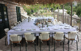 Gastro Vista