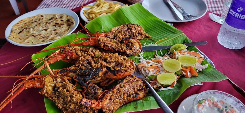 Curry leaf
