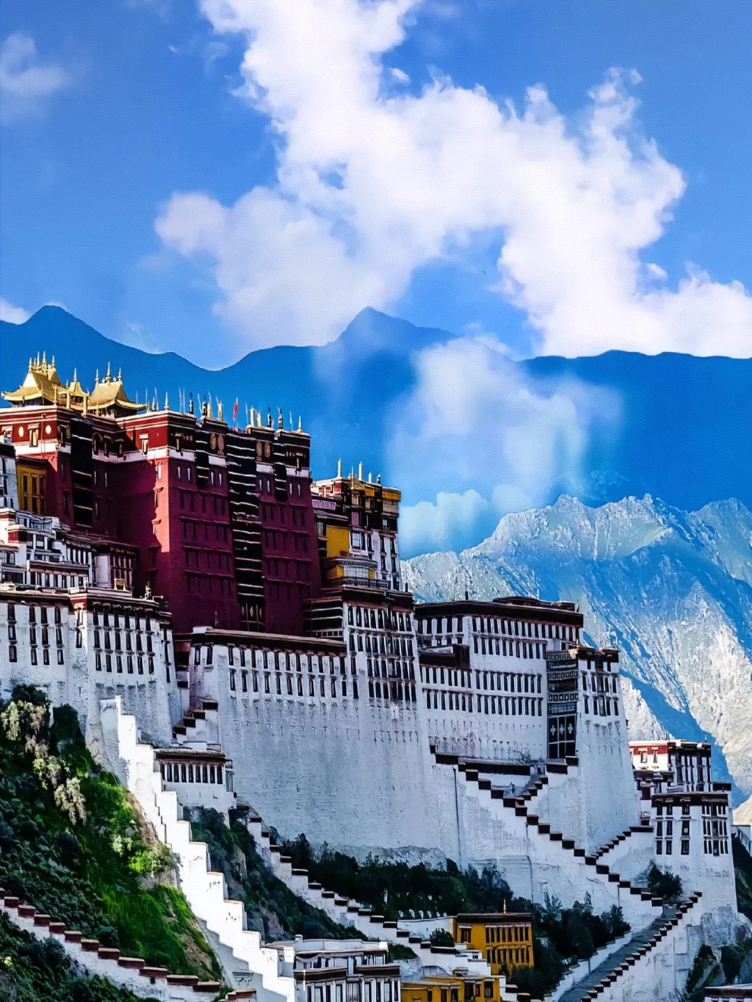 拉萨雪莲花观景酒店·雪莲花观景藏餐厅餐厅图片