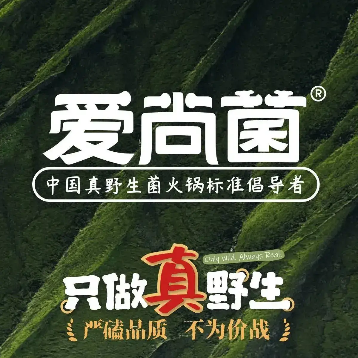 爱尚菌·云南真野生菌火锅(官渡古镇店)