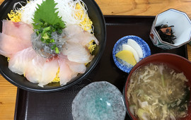 お魚天国