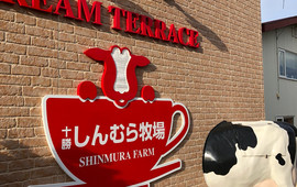 Cream Terrace