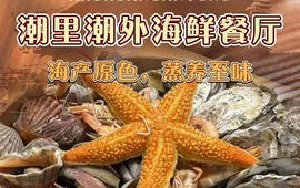 潮里潮外