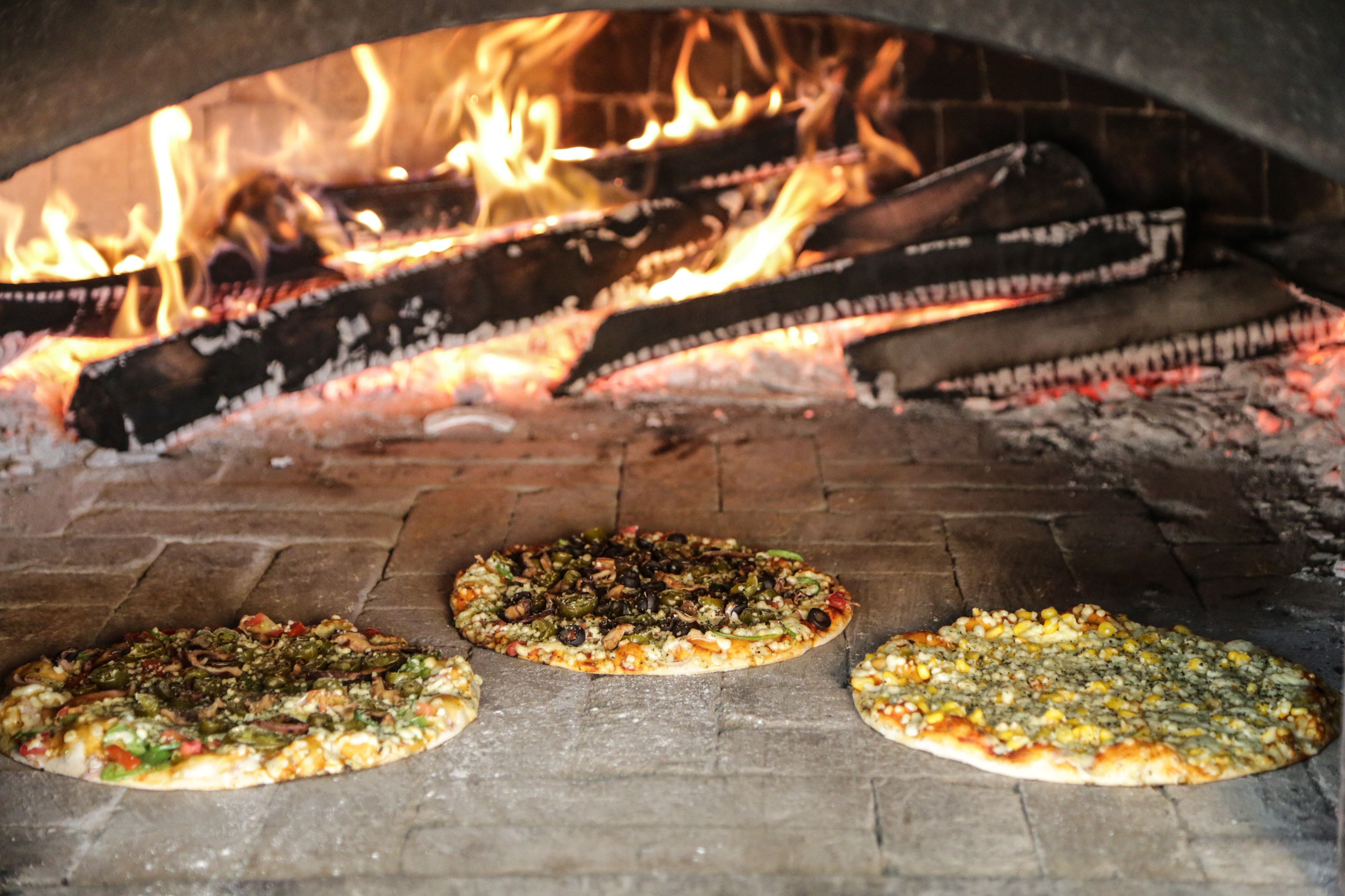 Mapro Garden Lonavala