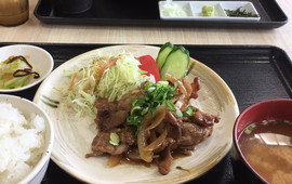 Fujiyama Shokudo