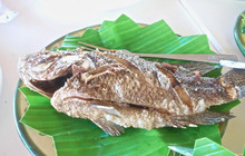Dalampasigan餐厅图片