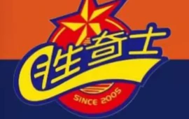 胜奇士