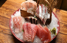 Sakanayachikara餐厅图片