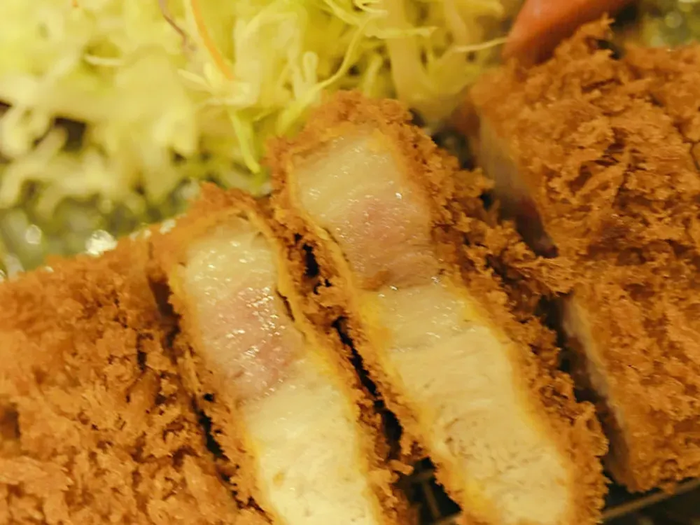 庄内软炸猪排饭庄(修竹大厦店)