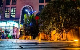 5号庭院·江湖菜·小龙虾·把把烧