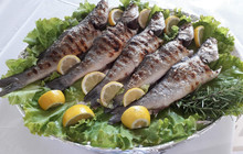 Ionian Restaurant餐厅图片
