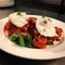 Belvedere Cafe|Restaurant