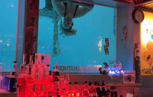 Sip 'n Dip Lounge餐厅图片
