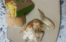 Nando's N12 Klerksdorp餐厅图片