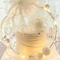 维特·多美滋·生日蛋糕(老潢高店)