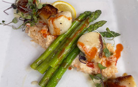 The Siesta Key Oyster Bar