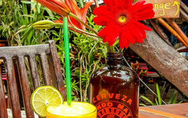Mateo's Mexican Grill