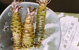 Takiguchi Wasabien