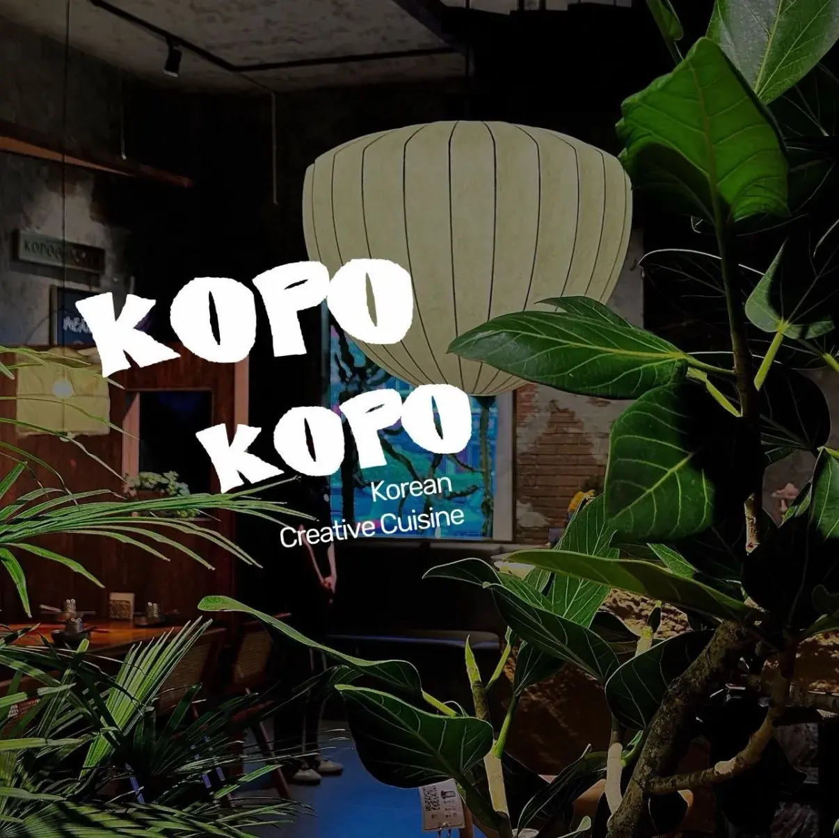 叩朴KOPO创意料理
