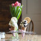 The Little Ice Cream Shop - Hawkshead