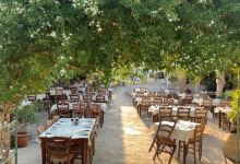 Taverna Mousikos美食图片