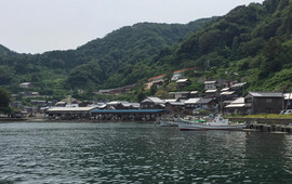 漁港めし