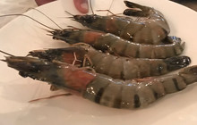 The Bazaar餐厅图片