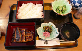 Matsuda Unagi