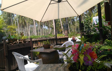 The Pink Kangaroo Cafe餐厅图片