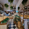 The Baguette Hua Hin