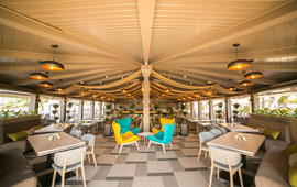 Sabroso Mamaia Rex