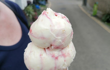 Jessie's Dairy餐厅图片