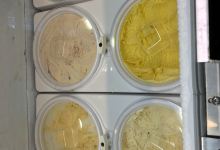 Tropical Dreams美食图片