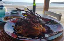 Pinguino Cafe餐厅图片