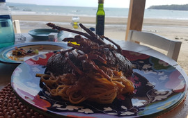 Pinguino Cafe