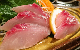 Izakaya Yasube