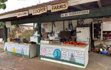 Cooper Farms餐厅图片