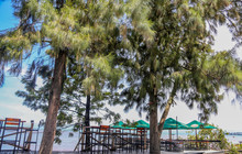 Saga Bay Restaurant餐厅图片