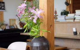 Fuyutsubaki