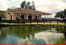 Centro de Recreo EL Eden de Mis Abuelos Restaurante Campestre y Casa de Eventos美食图片