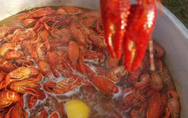 Badeaux's Seafood & Grill