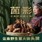 菌彩云南野生菌火锅(富康城店)