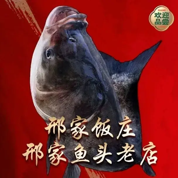 邢家饭庄·邢家鱼头老店