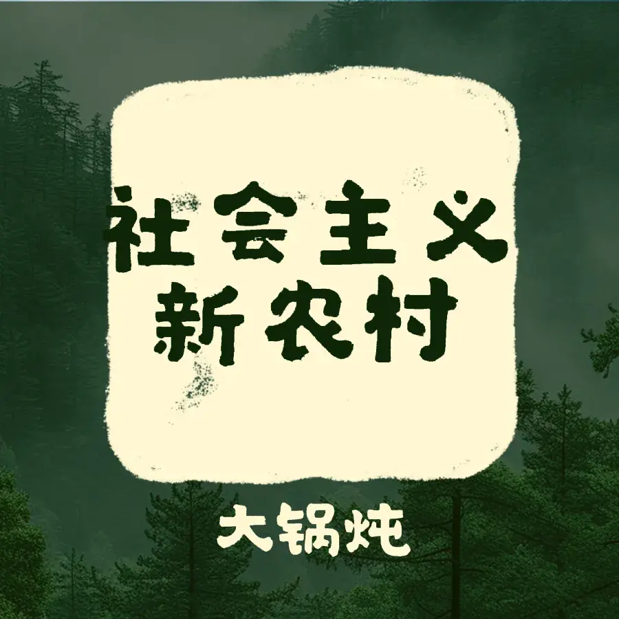 社会主义新农村大锅炖